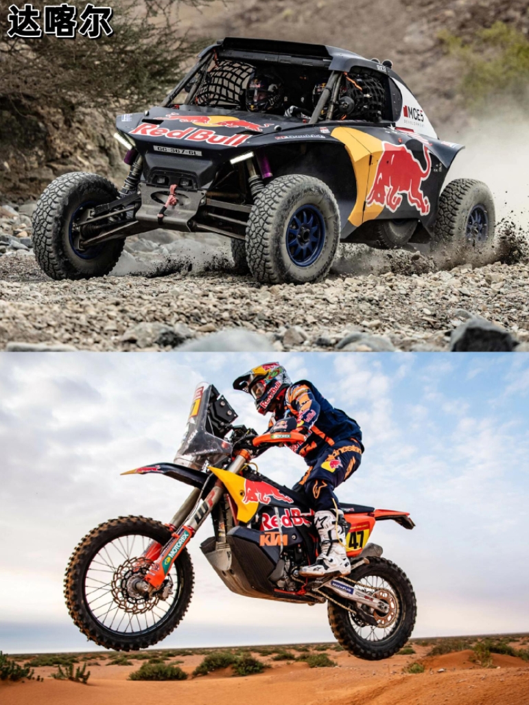 红牛车队险胜哈斯车队,阿隆索惊艳四座 红牛车队险胜哈斯车队,阿隆索惊艳四座