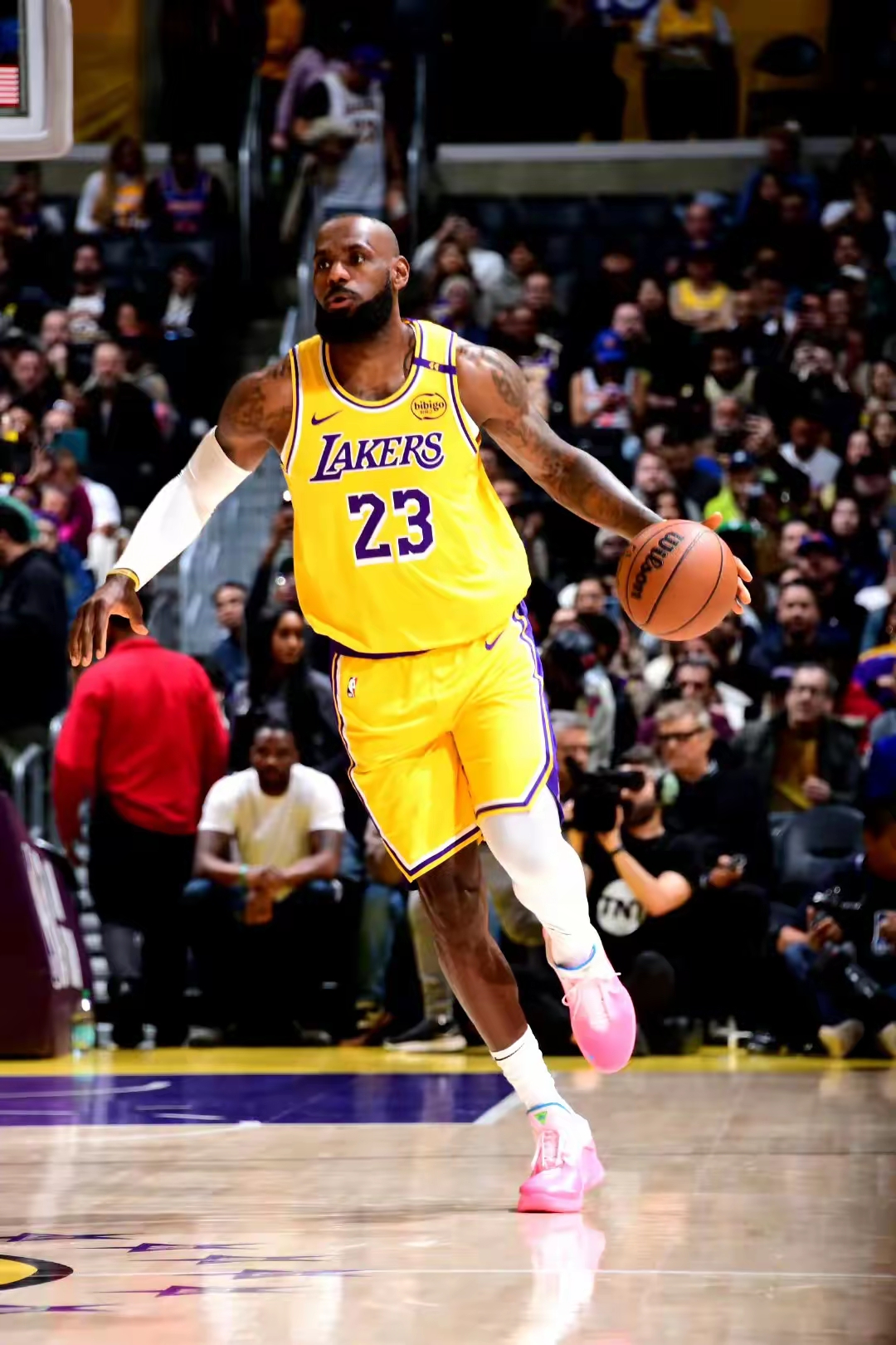 公牛力克步行者，詹姆斯高光表现